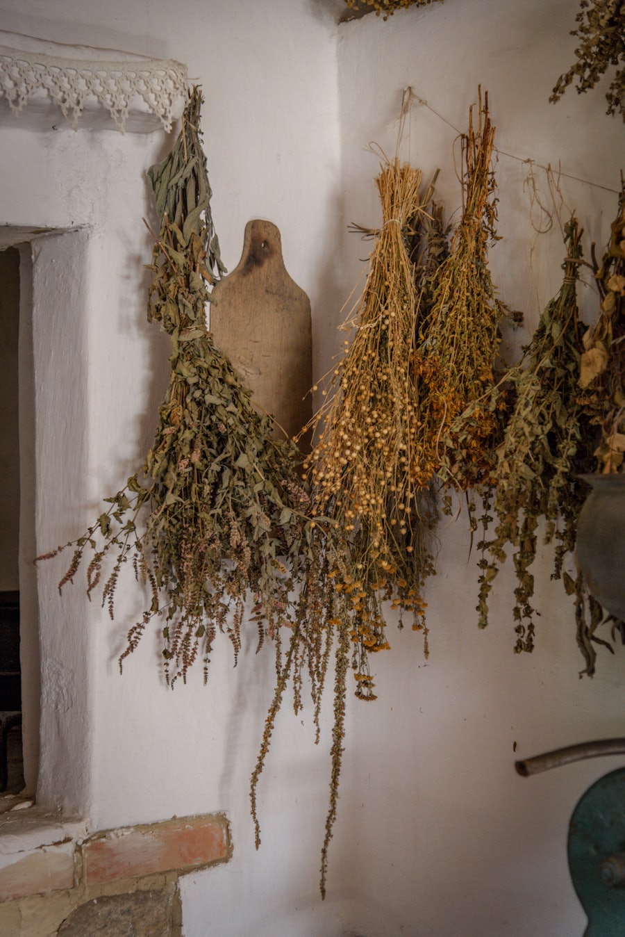 Bunches of herbs drying against a wall